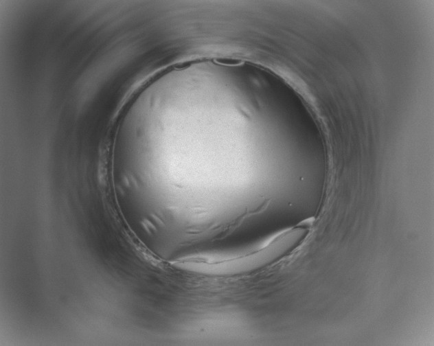 X0000071330912200607071629