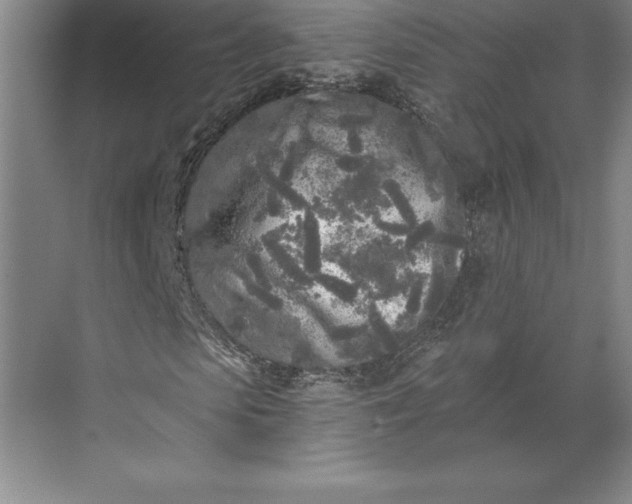 X0000071330913200607071628