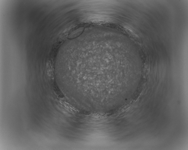 X0000071330917200607071628