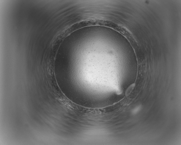 X0000071330919200607071628