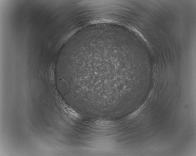 X0000071330921200607071628