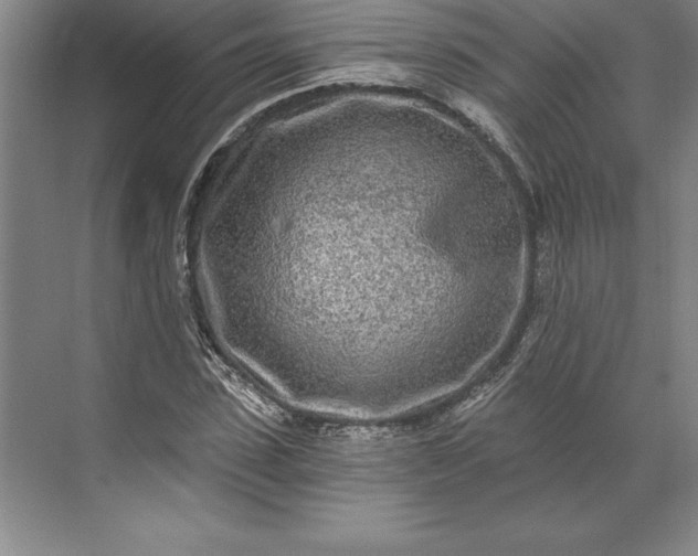 X0000071330923200607071628