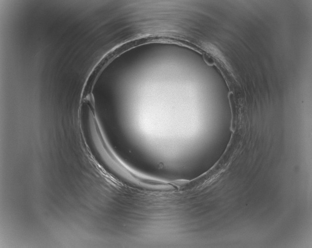 X0000071330924200607071628