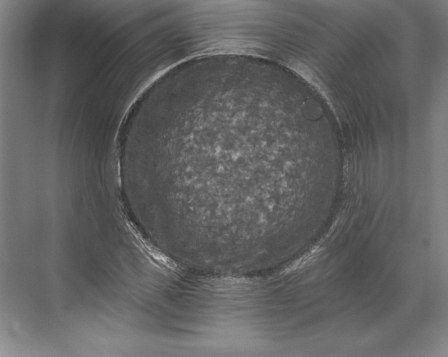 X0000071330925200607071628