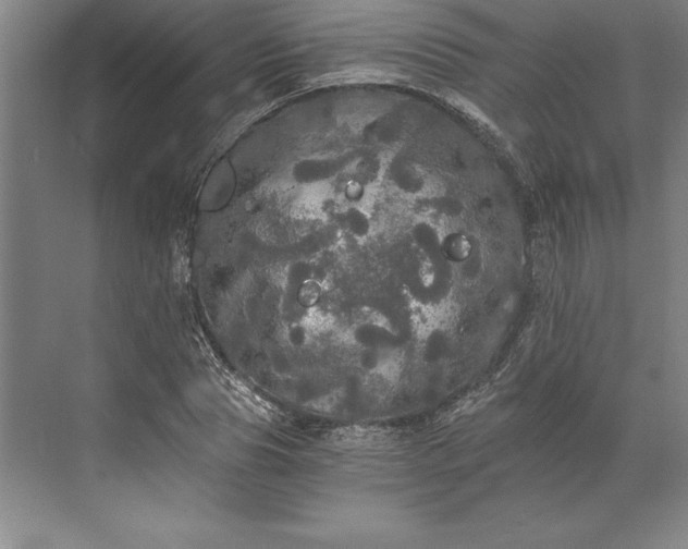 X0000071330929200607071628