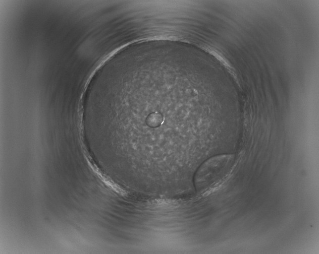 X0000071330933200607071628