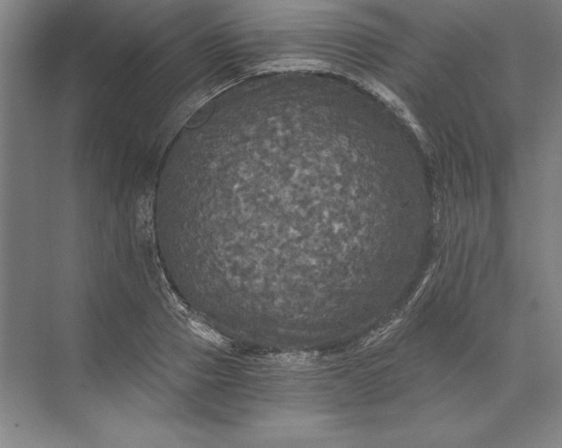 X0000071330937200607071628