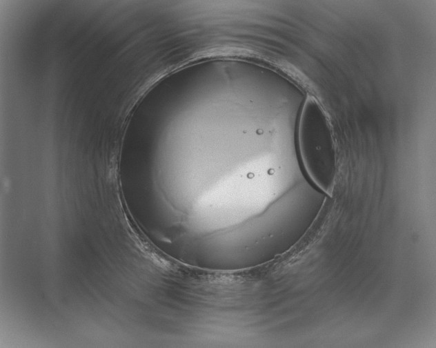 X0000071330945200607071629