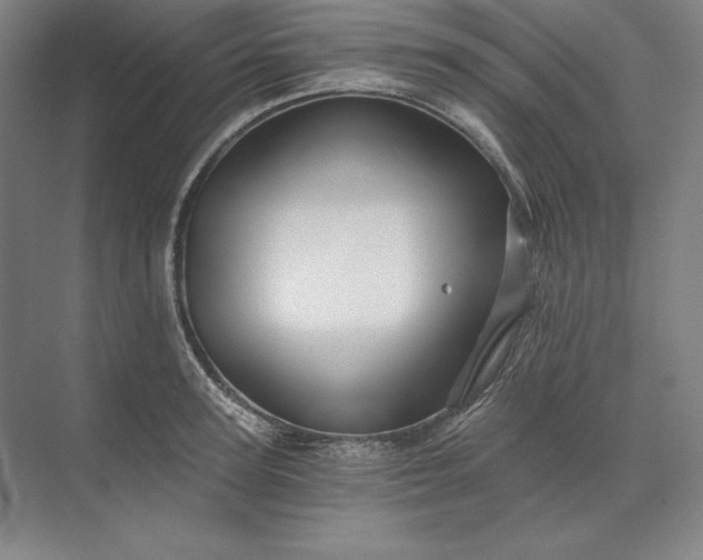 X0000071330947200607071629