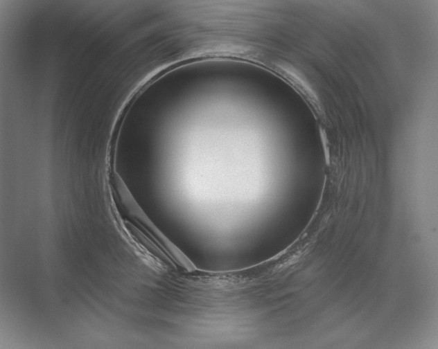 X0000071330948200607071629