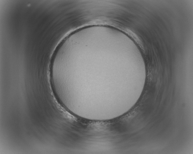 X0000071330950200607071629