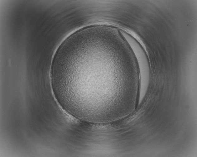 X0000071330951200607071629