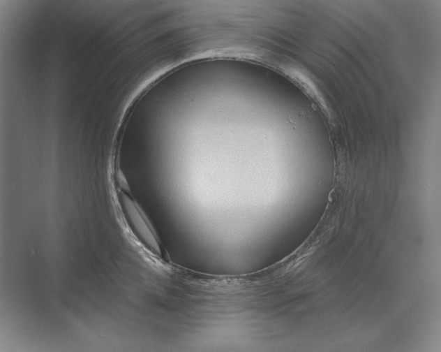 X0000071330952200607071629