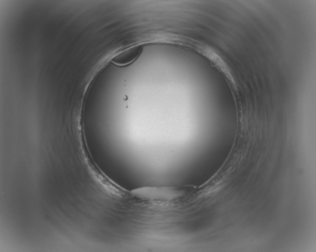 X0000071330954200607071629