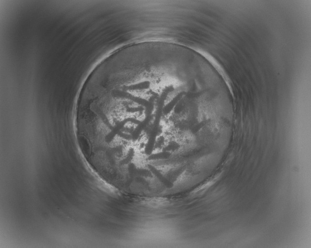 X0000071330957200607071629