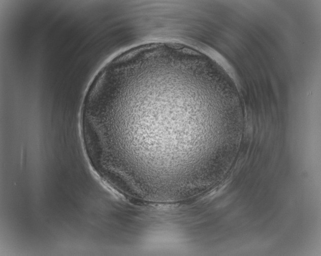 X0000071330958200607071629