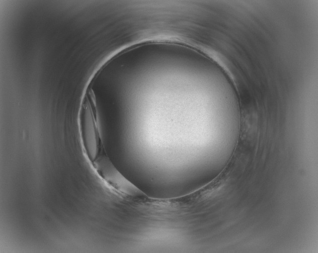 X0000071330959200607071629