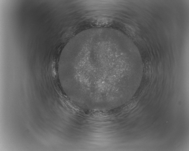 X0000071330962200607071628