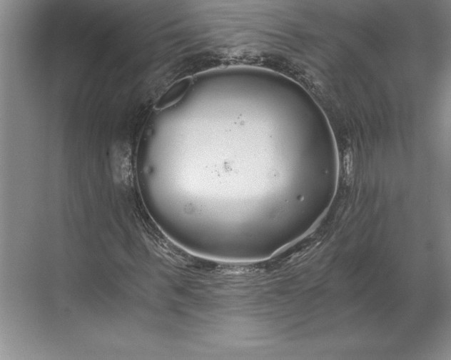 X0000071330963200607071628