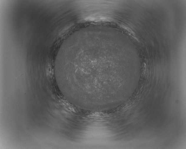 X0000071330966200607071628