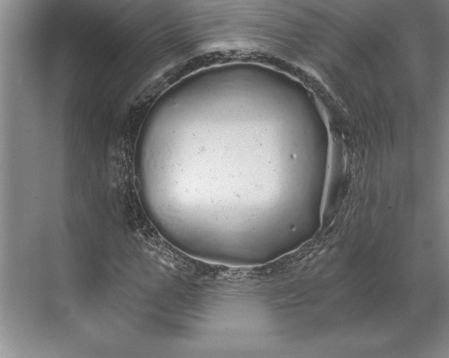 X0000071330967200607071628