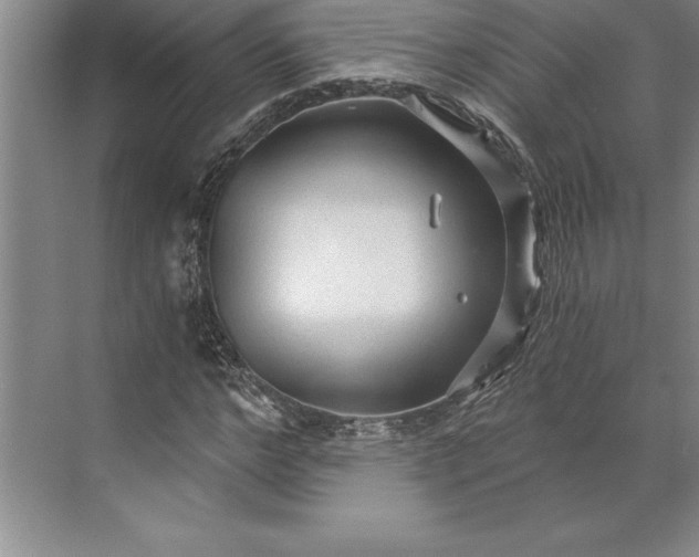 X0000071330968200607071628