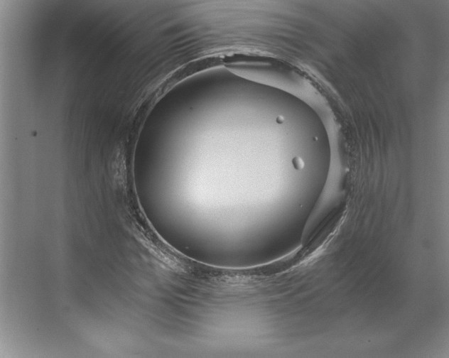 X0000071330969200607071628