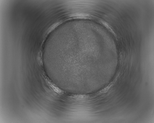 X0000071330970200607071628