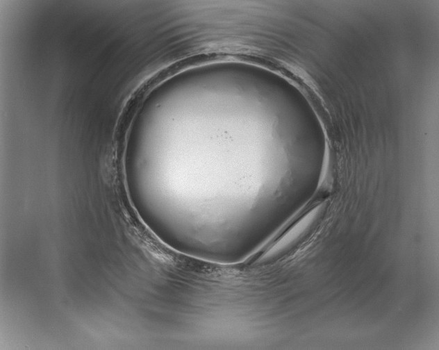 X0000071330971200607071628