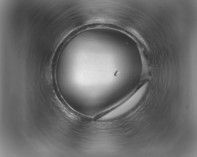 X0000071330972200607071628