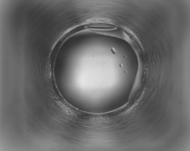 X0000071330973200607071628