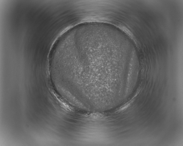 X0000071330974200607071628