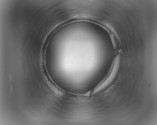 X0000071330976200607071628