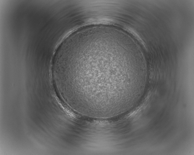 X0000071330978200607071628