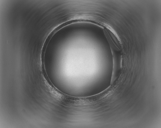 X0000071330980200607071628