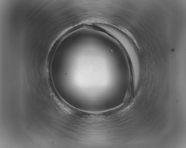 X0000071330981200607071628