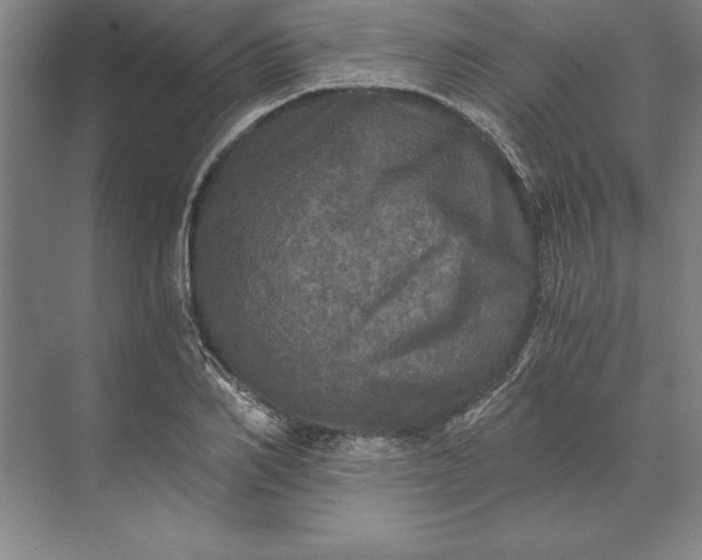 X0000071330982200607071628