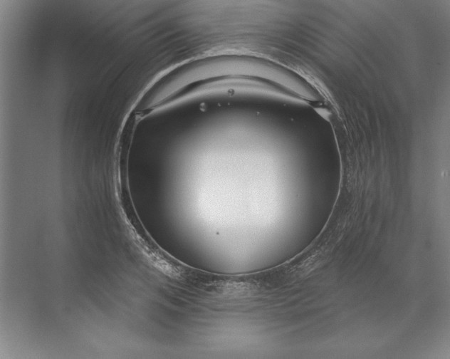 X0000071330984200607071628