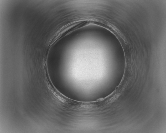 X0000071330985200607071628