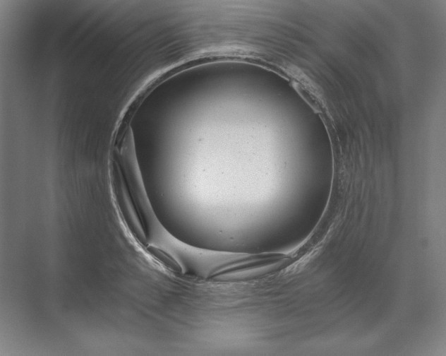 X0000071330989200607071628