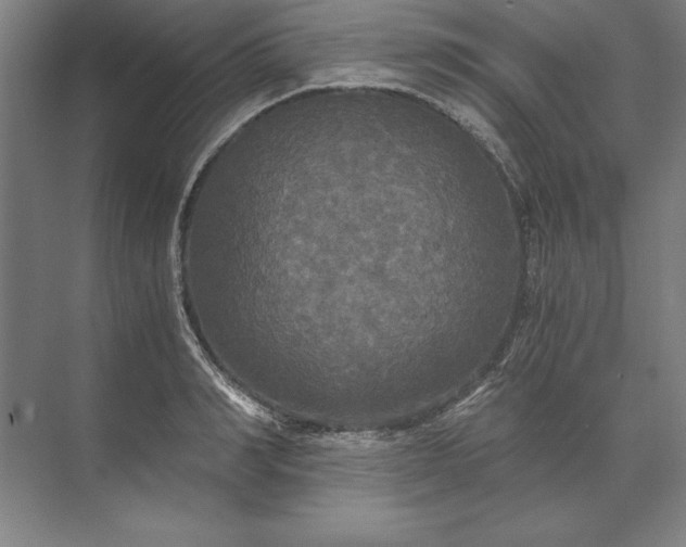 X0000071330990200607071627