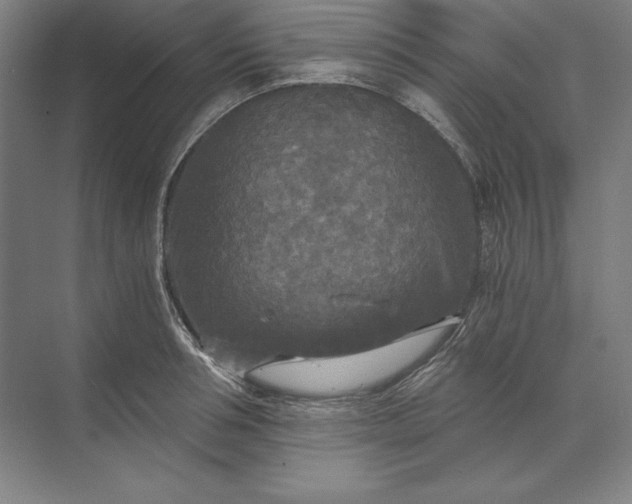 X0000071330994200607071627