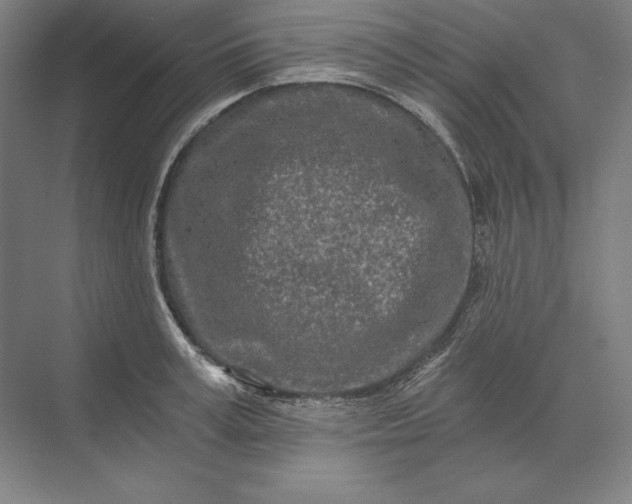 X0000071330995200607071627