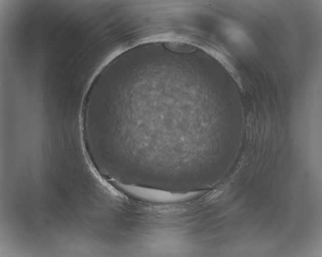 X0000071330998200607071627