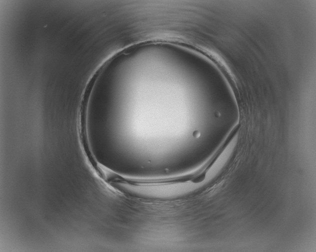 X0000071330999200607071627