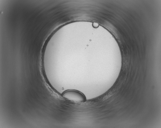 X0000071331000200607071627