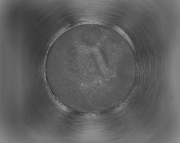 X0000071331002200607071627