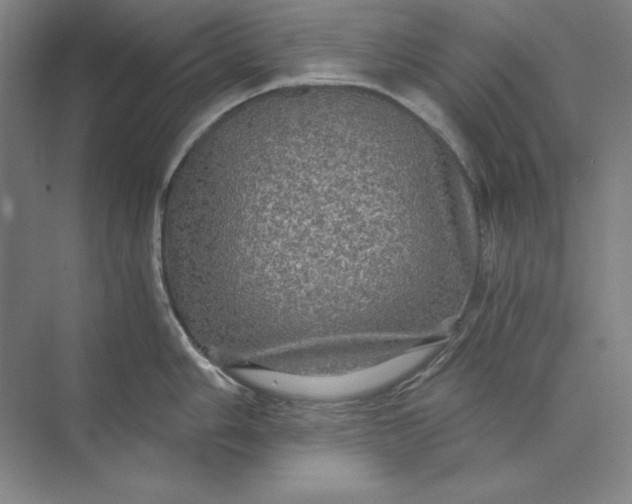 X0000071331006200607071627