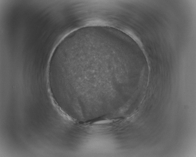 X0000071331008200607071627