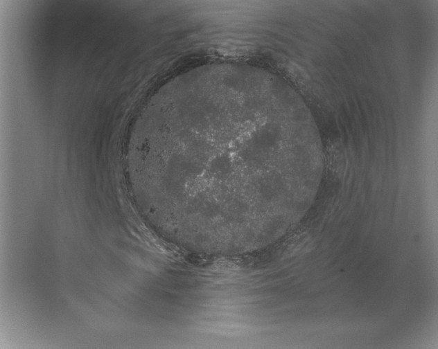 X0000071331009200607071626